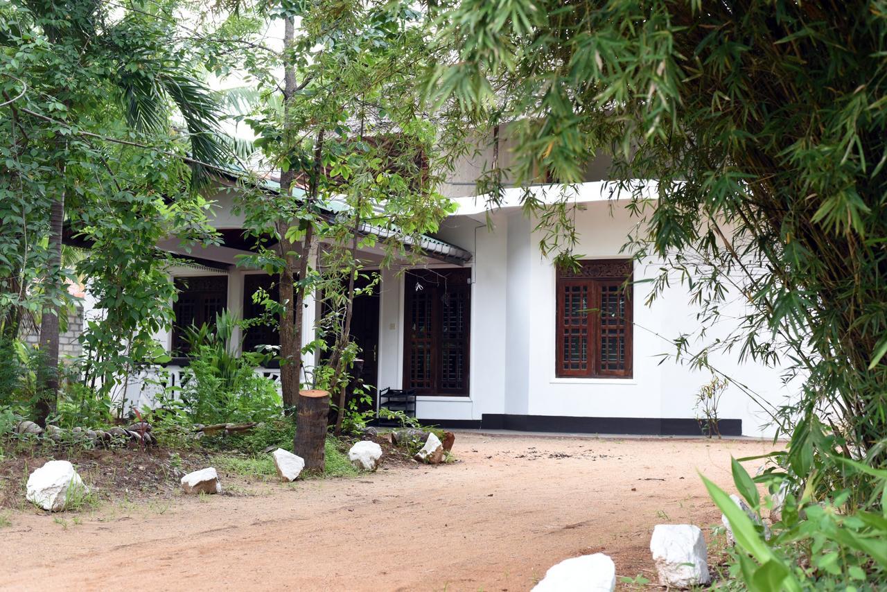 Sun And Green Eco Lodge - Dambulla Exterior foto