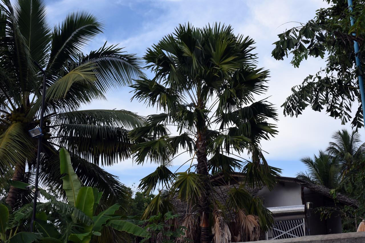 Sun And Green Eco Lodge - Dambulla Exterior foto