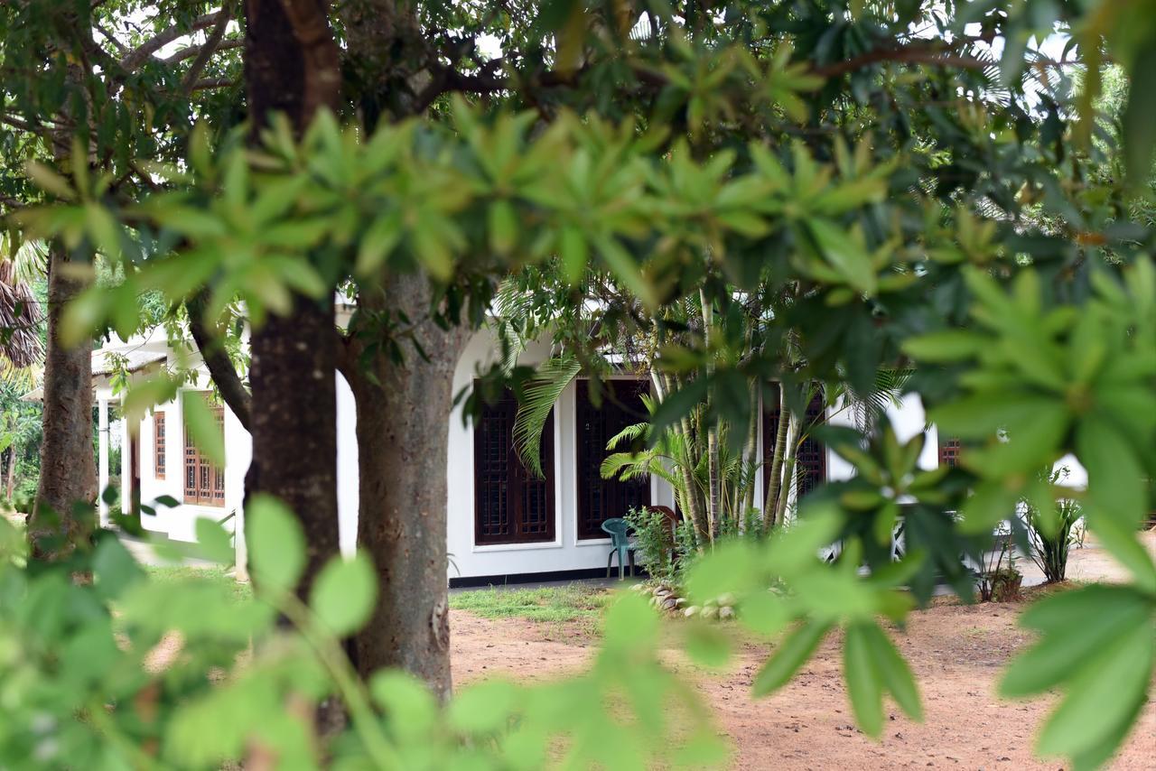 Sun And Green Eco Lodge - Dambulla Exterior foto