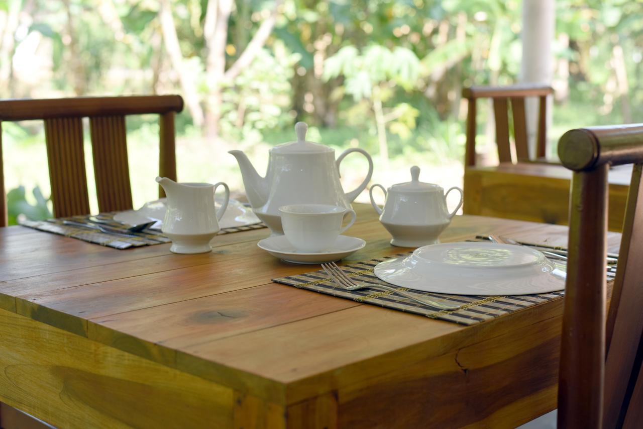 Sun And Green Eco Lodge - Dambulla Exterior foto