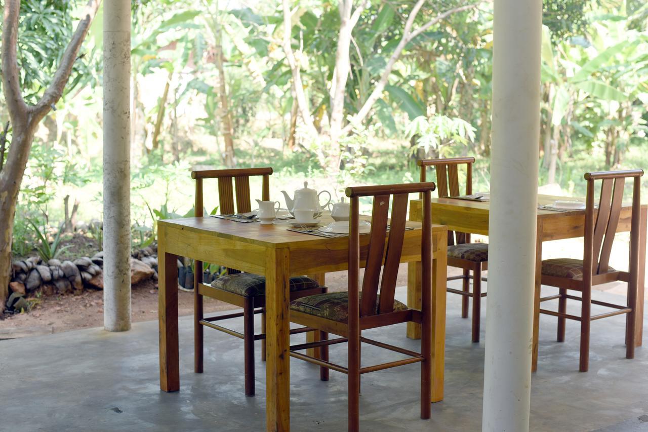 Sun And Green Eco Lodge - Dambulla Exterior foto