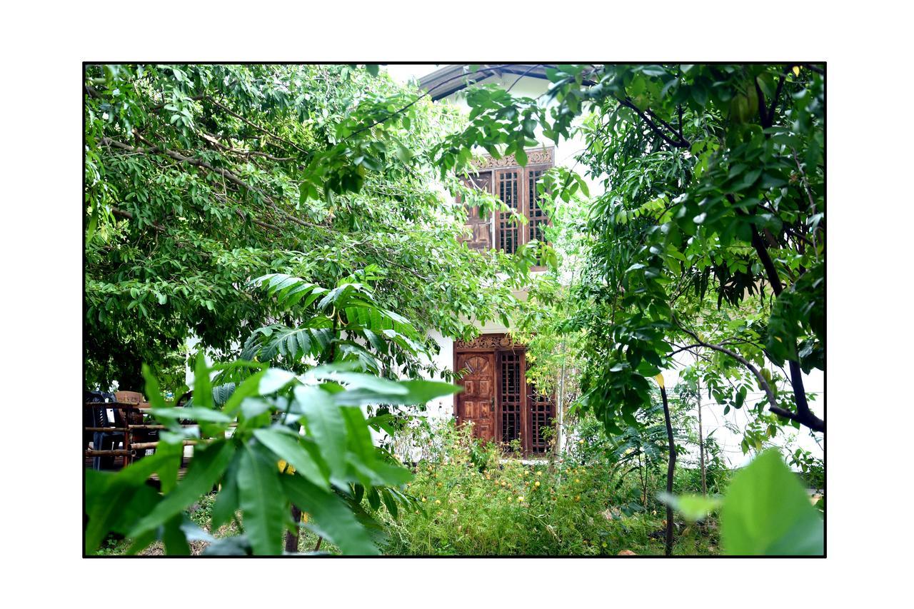 Sun And Green Eco Lodge - Dambulla Exterior foto