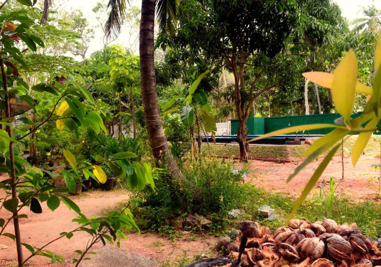 Sun And Green Eco Lodge - Dambulla Exterior foto