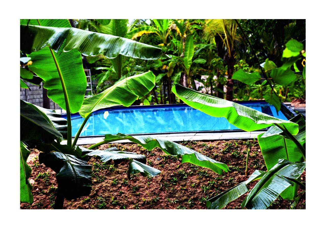 Sun And Green Eco Lodge - Dambulla Exterior foto