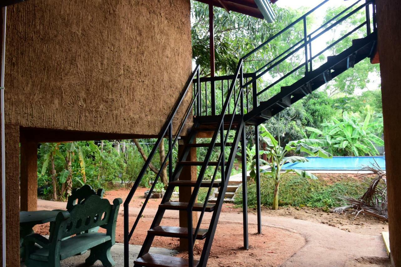 Sun And Green Eco Lodge - Dambulla Exterior foto